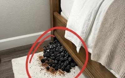 Woke up and saw THIS in my bedroom. Any idea what it is? The more I look, the more I get spooked out! Check the comments for the disturbing truth…