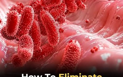 How to Eliminate the Bacteria That Causes Bloating and Heartburn