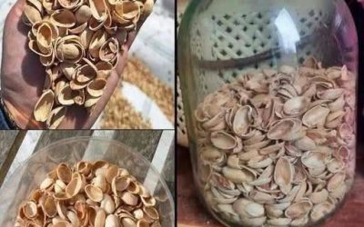 Most people throw away pistachio shells without knowing how valuable they are… 💬👀