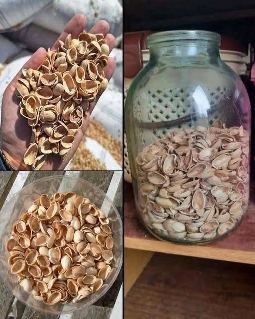 Most people throw away pistachio shells without knowing how valuable they are… 💬👀