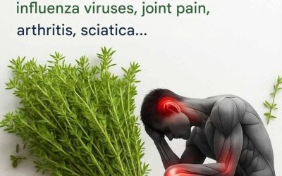 Thyme: A Flavorful Herb With Impressive Health Benefits and Easy Ways to Use It