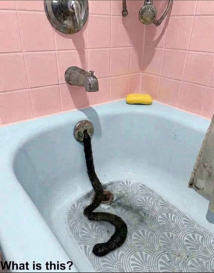 I went to the seaside for ten days on vacation. When I came back home and walked into the bathroom, I discovered this. Honestly, at first I was really scared. Then I started looking at it carefully, trying to figure out what it was, but I still couldn’t understand it. Does anyone know what this could be? Check the first comment for the answe