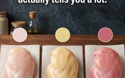 😯🤔It’s surprising that the connection between chicken color and quality is sti… See more