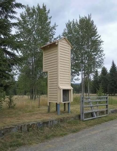 We keep seeing these along the roads in Oregon, and we still have no idea what they are. They’re usually placed at the end of a driveway, with the lower glass section facing toward the road. They look like they’re around 15 feet tall. Every time my wife sees one, she gets frustrated trying to figure it out. At first, we wondered: Is it some kind of lookout tower? A giant birdhouse? A wildlife feeder? It looks like there’s nothing inside, but there has to be a reason people bu… Voir plus