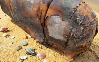 I was walking on the beach when I suddenly came across this. I’ve been looking at it from different angles for about an hour now, but I still can’t figure out what it is. Does anyone know what it is? Check the first comment for the answer 👇