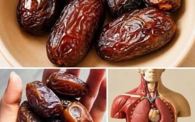 What Happens to Your Body When You Eat Dates Every Day? The Truth About This Ancient Superfruit