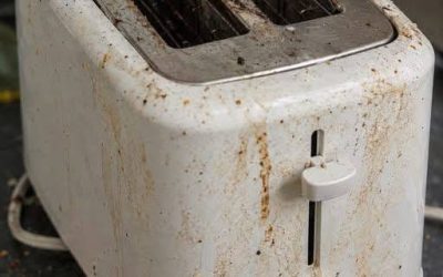 Your Toaster Is Grosser Than You Think—Here’s Why You Should Clean It More Often