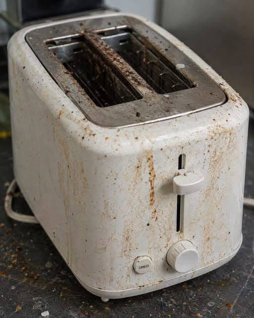 Your Toaster Is Grosser Than You Think—Here’s Why You Should Clean It More Often