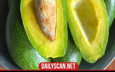 Doctors reveal that consuming avocado causes…