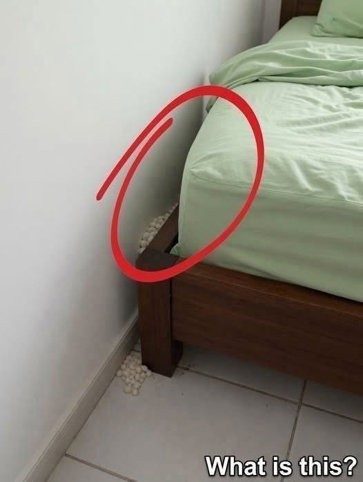 In the evening, after a long day at work, I came home tired, hoping to get some sleep and rest. Near my bed, I suddenly noticed this. Honestly, I was really scared. After the fear passed, I started examining it carefully, trying to understand what it was, but I still can’t figure it out. Does anyone know what this is? Check the first comment for the answerIn the evening, after a long day at work, I came home tired, hoping to get some sleep and rest. Near my bed, I suddenly noticed this. Honestly, I was really scared. After the fear passed, I started examining it carefully, trying to understand what it was, but I still can’t figure it out. Does anyone know what this is? Check the first comment for the answer
