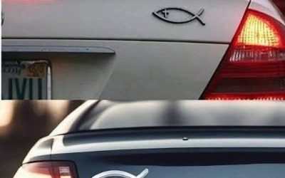 What does the small fish-shaped symbol on the back of some cars mean and what is it for?see more