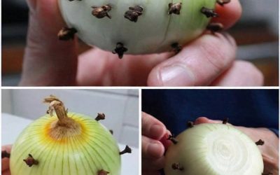 Why People Stick Cloves Into an Onion: The Traditional Kitchen Trick That Still Works Today