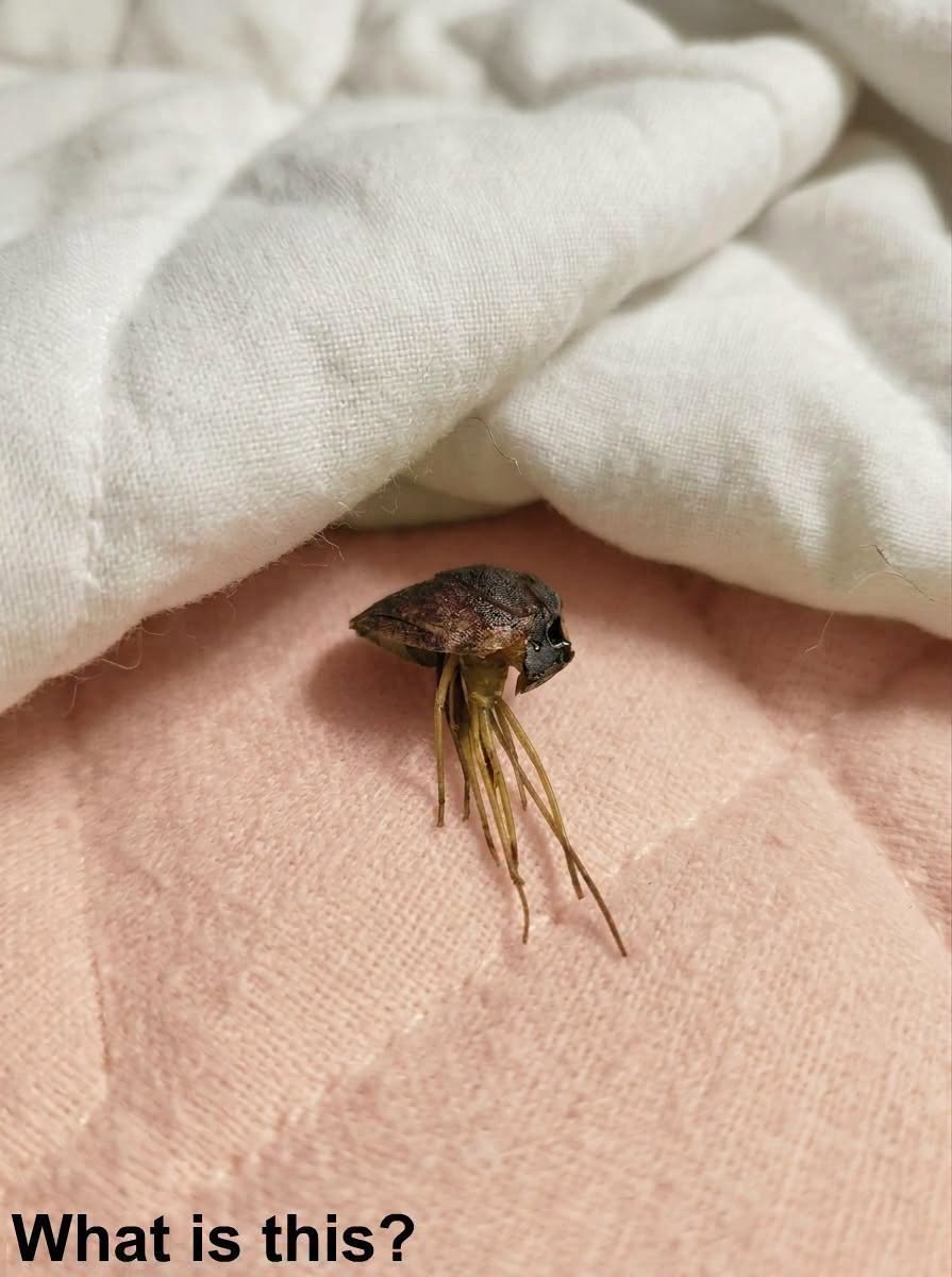 I Came Home Tired and Just Wanted to Rest—But What Happened Next Changed Everything