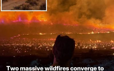 Two massive wildfires converge to rip across California and Nevada as homes razed and evacuations ordered