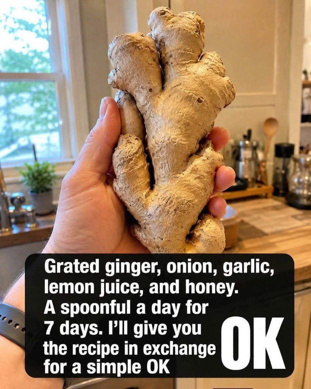 Ginger Garlic Onion And Lemon Mix Cleanses Your Body And Lungs Fast