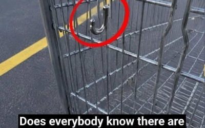 Shoppers Are Surprised by the True Purpose of Shopping Cart Hooks (And the Hidden Helpers in Our Daily Errands)