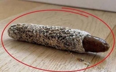 I Found a Strange Little Object on My Floor—Then I Discovered What It Really Was