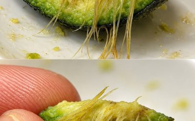 Why Your Avocado Has Those Stringy Fibers — And What They Actually Mean