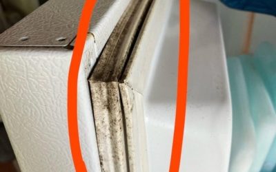 How to Clean Black Mold from a Refrigerator Gasket in Minutes