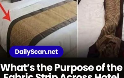 What’s the Purpose of the Fabric Strip Across Hotel Beds? The Answer Is Simpler Than You Think