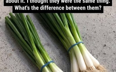Difference Between Green Onions, Scallions, Spring Onions and Chives Full article