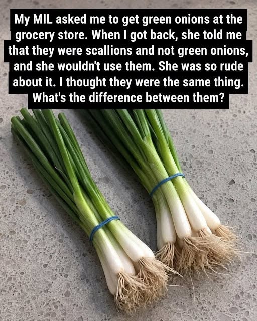 Difference Between Green Onions, Scallions, Spring Onions and Chives Full article