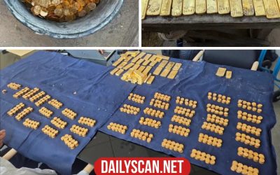 M of gold found hidden in brewery cellar while laying sewage pipe