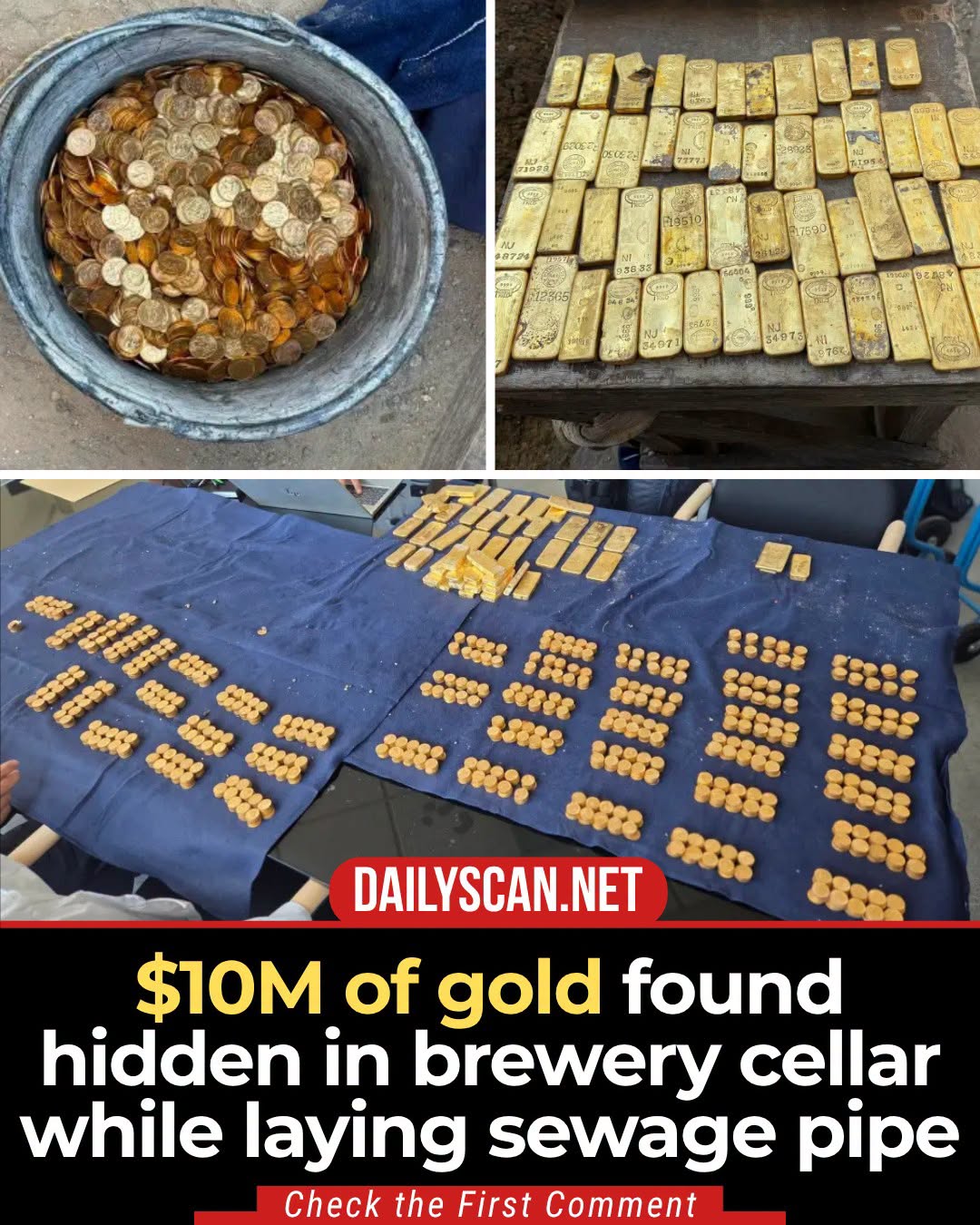 M of gold found hidden in brewery cellar while laying sewage pipe
