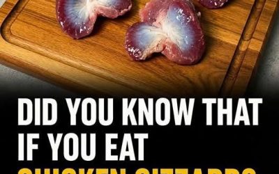 Chicken Gizzards: The Overlooked Food That Packs More Nutrition Than You Might Expect