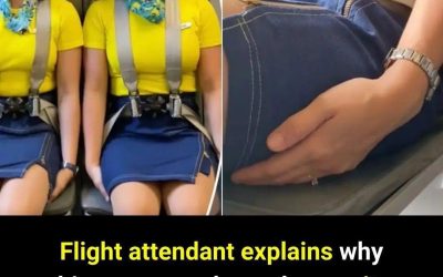 Flight attendant explains the unexpected reason cabin crew keep their hands under their thighs during takeoff and landing