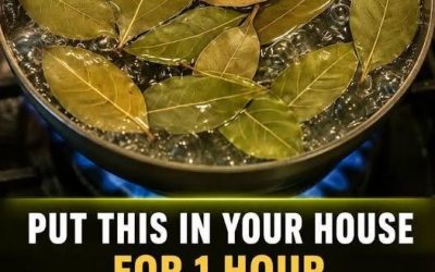 By boiling these leaves, you can get rid of flies, mosquitoes and cockroaches….See more👇