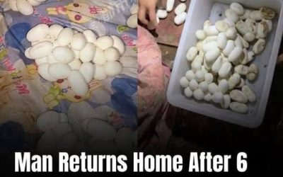 He Came Home After Six Months and Found More Than 100 Mysterious Eggs on His Bed