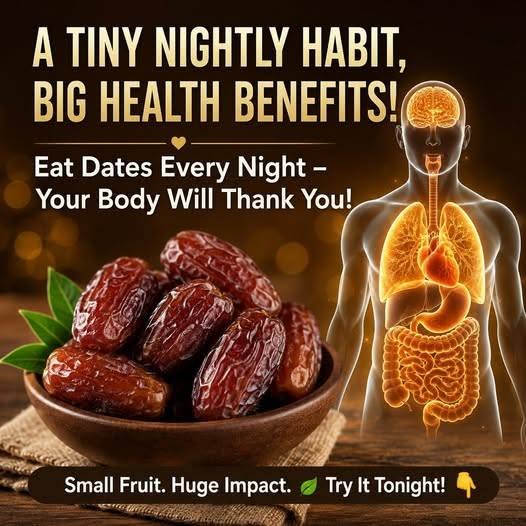 Eating Three Dates a Day: Surprising Benefits You Should Know