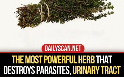 Can One Herb Really Destroy Parasites and Fight Urinary Tract Infections? Here’s What the Science Says