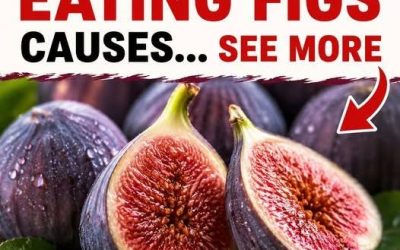 The Health Benefits of Figs: What Fresh, Dried Figs and Fig Leaves Can Offer