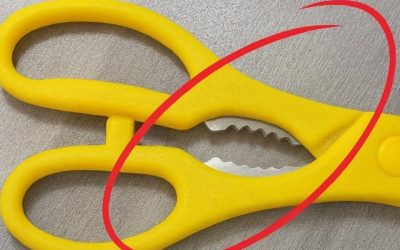 What’s That Strange Toothy Part on Kitchen Scissors For? 🔪
