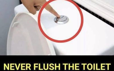 Why Its So Important Not To Flush The Toilet After Every Trip