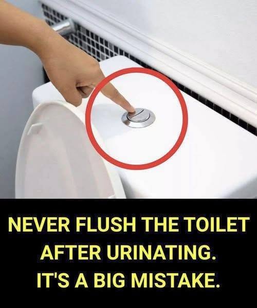 Why Its So Important Not To Flush The Toilet After Every Trip