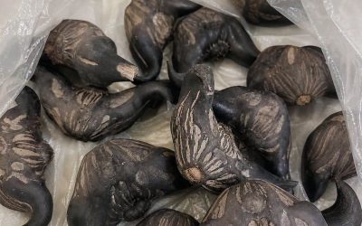 My neighbor gave me a bag of these.anyone know what they are? How do you eat them?