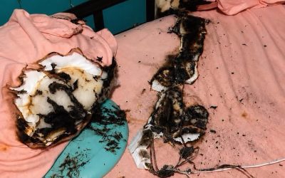 Firefighters Warn People About The Dangers Of Sleeping With A Charging Phone
