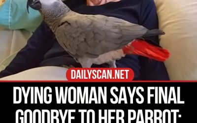 Dying woman says final goodbye to her parrot: The bird’s instant reaction leaves us in tears
