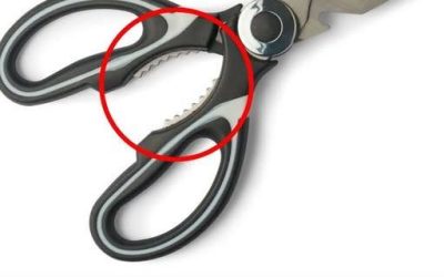 What’s That Strange Toothy Part on Kitchen Scissors For?