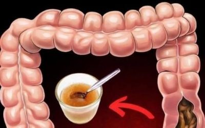 Drink this drink every morning to flush out toxic fats accumulated over the years!