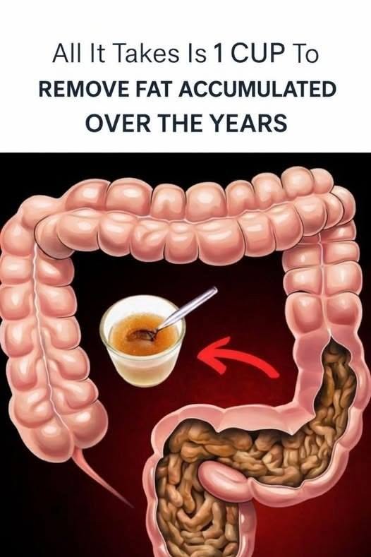 Drink this drink every morning to flush out toxic fats accumulated over the years!