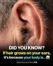 What Your Ear Hair Says About Your Health