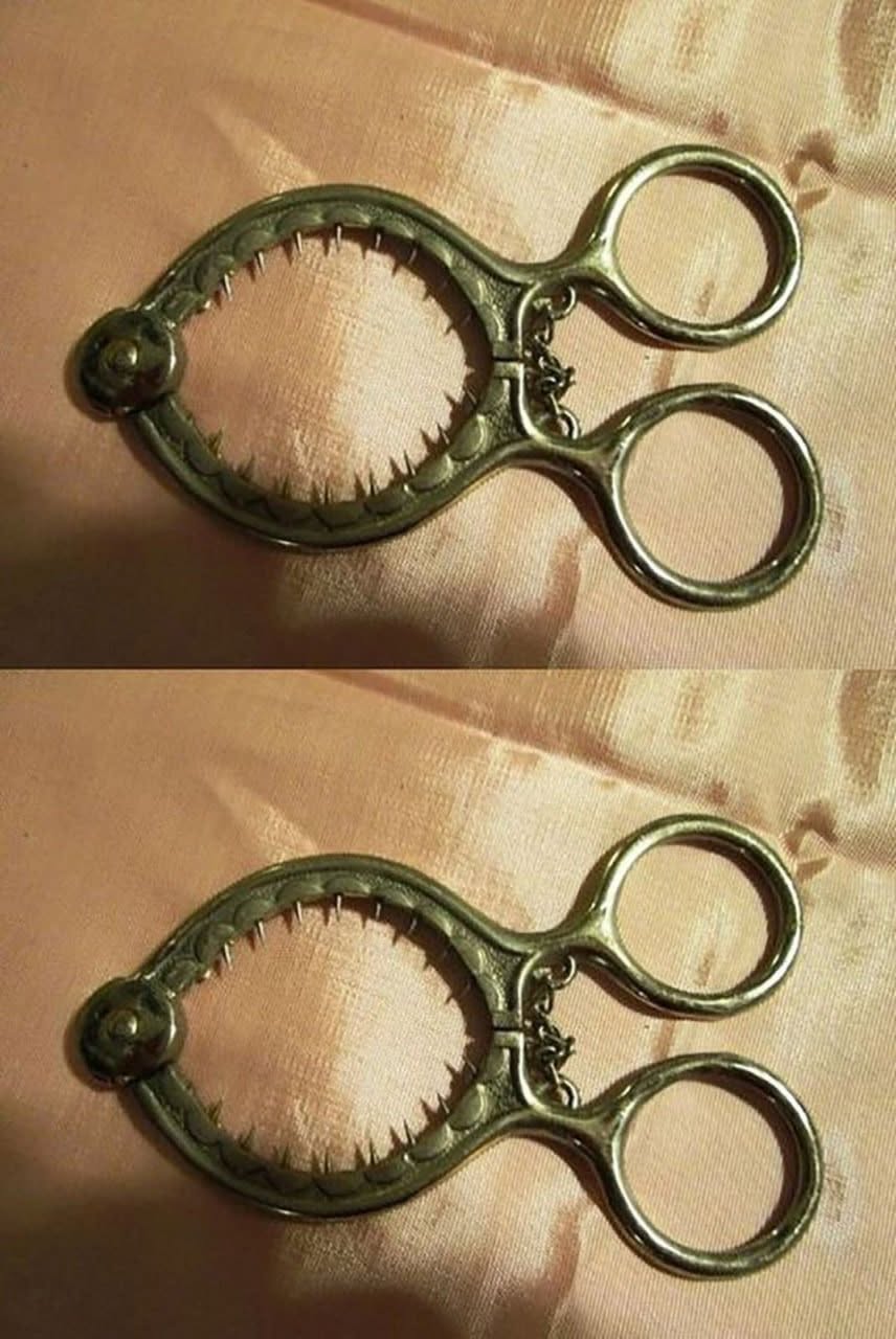 Can You Identify This Mysterious Object? Here’s How to Figure It Out