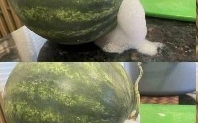 My watermelon started frothing