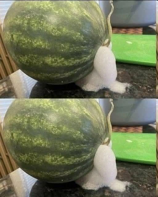 My watermelon started frothing