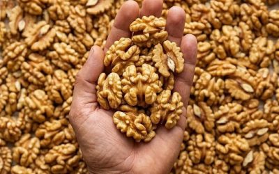 Proven Health Benefits of Walnuts, How Many to Eat, and More (Science Based)