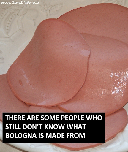 What Is Bologna Made Of? Check 1st comment